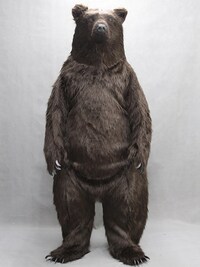 カフェでのバースデーサプライズについて 明日友人の誕生日のお祝いをしようと Yahoo 知恵袋