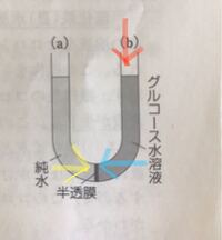 高校理論化学です 浸透圧についてです半透膜を溶媒のみ通ることができるのは Yahoo 知恵袋