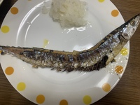 さんまを魚焼きグリルで焼いたら 内臓が全部溶けて下の水をはった部分に落ちて Yahoo 知恵袋