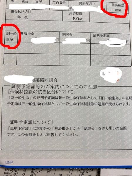 年末調整にあたり 給与所得者の保険料控除申告書を書きたいです Ja共済の共済 Yahoo 知恵袋