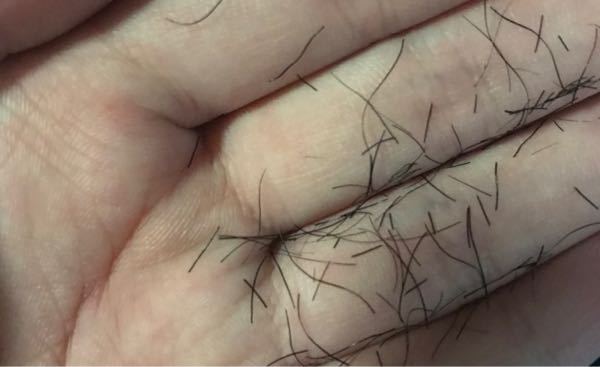 陰毛　薄い　中学生 