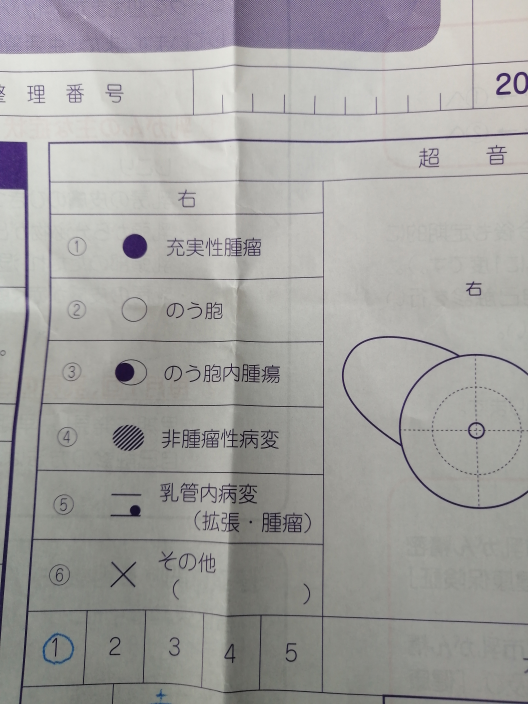 乳がん健診で充実性腫瘤の欄にマルがあり 診察のときは先生はなにもあ Yahoo 知恵袋