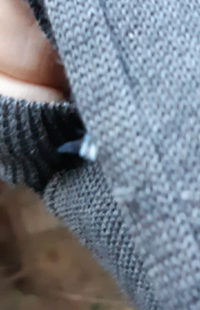 ゆきむし は東京にもいるのですか 普通の住宅地ですが ゆきむし Yahoo 知恵袋