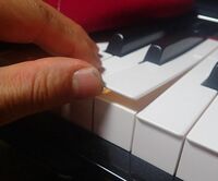 ヤハマ ハイブリッド電子ピアノ NU-1を使用しています。
鍵盤の上（プラスチック製）と下（木製）が剥がれました。
合わせるには 1.瞬間接着剤？垂れ下がって、鍵盤が動かなくなるのが怖いです。

2.木工用ボンドだとプラスチック製はくっつかない

3.両面テープだと広げなければ入らない


皆さんはどのように修理されていますか？
ご存知の方教えてください