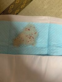 家の犬が血の混じった胃液を吐きました 画像を添付します そういう Yahoo 知恵袋