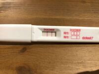 高温期13日目の今日 妊娠検査薬を使用してみたらくっきり陽性反応 Yahoo 知恵袋