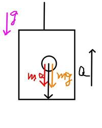 物理でよくある慣性力の問題についてですが。 上に上がっていくエレベーター内で、ボールを下に落とすときに、ボールにはmgの大きさの落下が生じると同時に。

エレベーターが上に加速していくmaの上昇する方向とは逆の向きに慣性力maが生じるというのは合ってますか？

図から想像すると、外から見ると上にエレベーターが上がっていくと同時にボール下に移動するのだから、加速度そのものは、a+gになり、その...