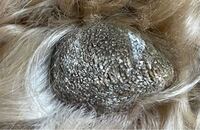 犬は足の裏以外にも 離れた所に一個肉球がありますよね あれは何のため Yahoo 知恵袋