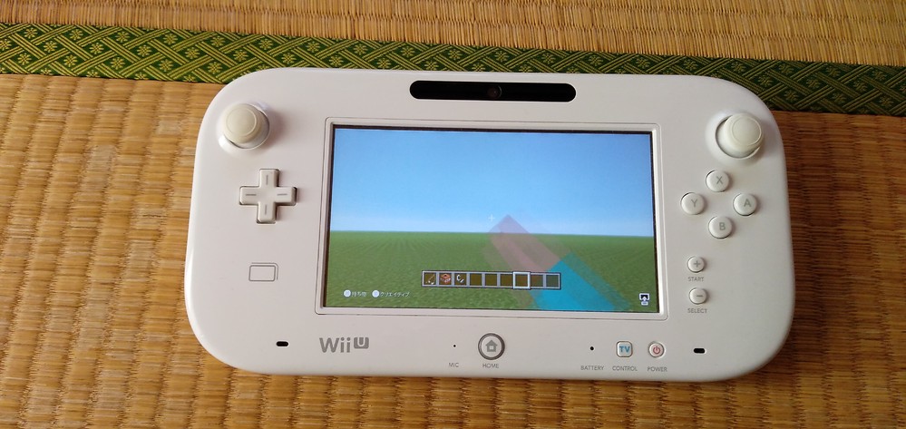 コンプリート Wiiu 名前 を 漢字 に する 方法
