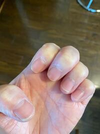 ドンキホーテでこのジェルネイルキット セット を 見つけ Yahoo 知恵袋