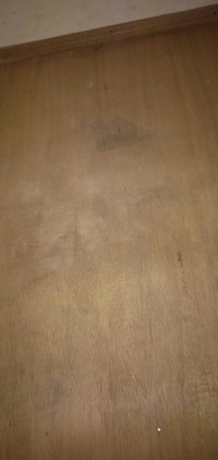 自宅階段下物置の床が黒カビみたいです どう処理して綺麗になりますか 教えて 住まいの先生 Yahoo 不動産