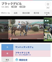 年 一瞬で興味を惹きつけられた馬の名前 教えてくださーい Yahoo 知恵袋