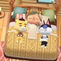 ポケ森でこの写真はどうすれば撮れますか フレンドさんのマイフ Yahoo 知恵袋