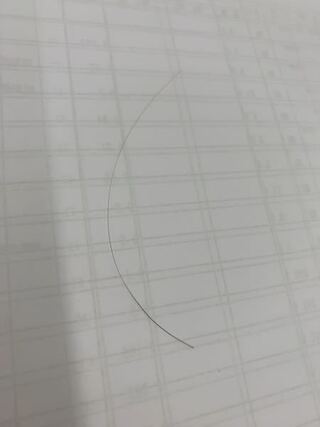 根元が黒い白髪がありました これは白髪が黒髪に戻る望みアリですか Yahoo 知恵袋