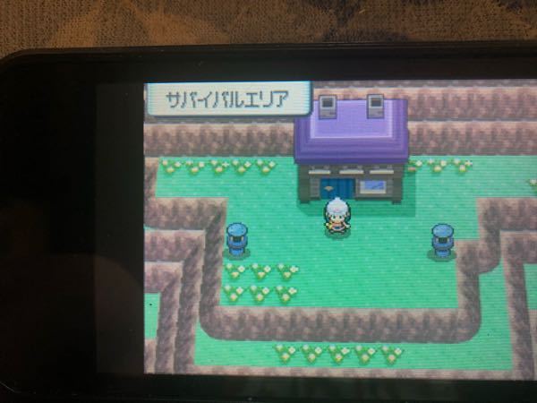 ポケットモンスター 解決済みの質問 Yahoo 知恵袋