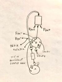 クロスドミナンスに詳しい方に質問です 私は右利きで 箸を持つ 字を書くなど Yahoo 知恵袋