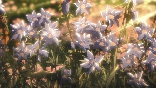 進撃の巨人のこの花はなんの花ですか また何か意味があるんですか 花 Yahoo 知恵袋