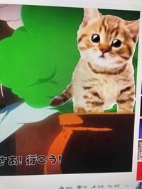 シャムの音madに出てくるこの可愛い猫は一体なんなのですか 個人使用は Yahoo 知恵袋