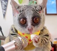 あなたの隣で寝てる旦那が あなたが目を覚ましたら写真のようなのに変わって Yahoo 知恵袋