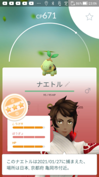 ナエトル ヒコザル ポッチャマの中でどれにしましたか Yahoo 知恵袋