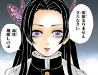 鬼滅の刃で 一番優しいキャラって誰だと思いますか もちろん 竈門炭治郎 Yahoo 知恵袋