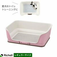 メッシュ付トイレトレーのメッシュを卒業したい いつも皆様 Yahoo 知恵袋