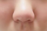 鼻の形についてです 鼻筋全くないし 低いし デカイので鼻が綺麗な人 Yahoo 知恵袋