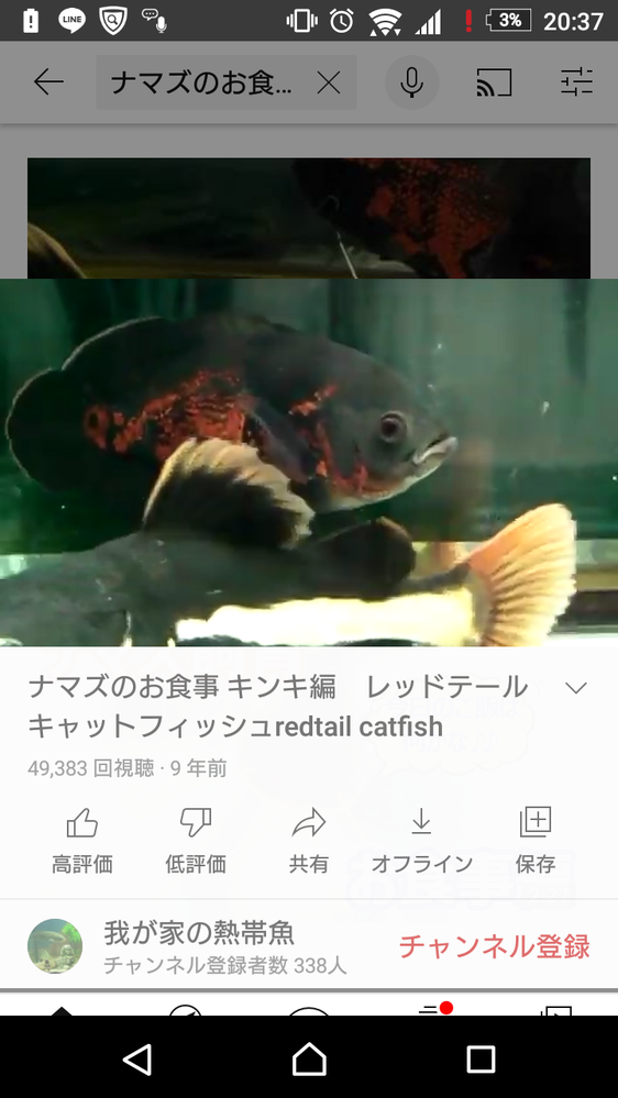 この熱帯魚は なんと言う名前の魚ですか わかる方よろしくお願いしま Yahoo 知恵袋