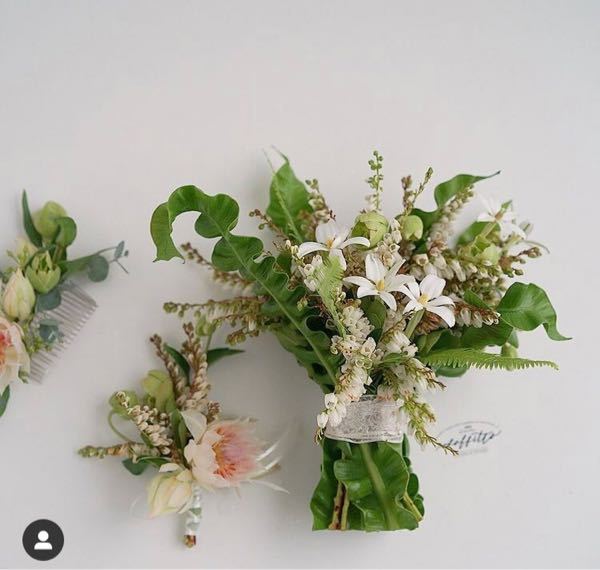 画像の花束のウネウネした葉の名前わかる方いますか 花束ブーケ Yahoo 知恵袋