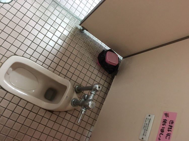 女子高校生がトイレでパンツ下ろす 