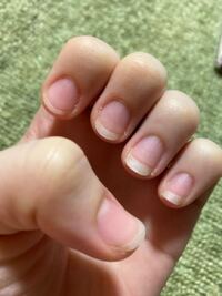 マインクラフトpeで 食べ物の食べ方を教えてください みんなコマンドを選択して Yahoo 知恵袋