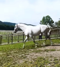 舐達麻のバダサイがヤバい人と揉めてるって言うのを聞いたんです Yahoo 知恵袋