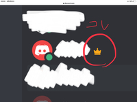 Discordのサーバー管理人が 名前横に王冠マークが表示されない原因わかり Yahoo 知恵袋