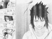 ナルト左下の鳥はなんなんですか 謎です 名前を鷹に変えるための演出だと思 Yahoo 知恵袋