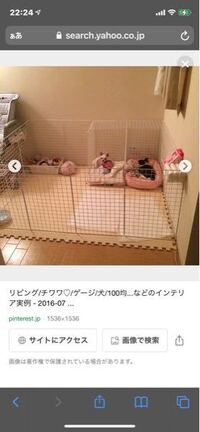 3ヶ月の柴犬を飼っています 室内で放し飼いをしたいので 大きいサー Yahoo 知恵袋