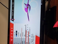 ポケモンxyの とくせいカプセル って 夢特性に出来ないうえbp2 Yahoo 知恵袋