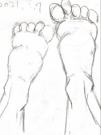 【人物の描き方について質問です】 アタリを描いて、写真を見ながら足を描きました。描きたい足は「足の甲が奥にある女性の足」です…(´;︵;`)
寝そべっているつもりです。
どこか不自然な足になってしまいました。わたしは指がおかしいのかなと思ってますがどう直せばいいかわかりません涙
どうしたら女性らしく、自然な足になりますか？