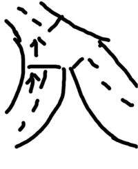 ルギアの性格は何がオススメですか 臆病 図太い 穏やか努力値はどこに2 Yahoo 知恵袋