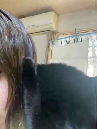 黒猫のオスを飼ってます 私の髪先を舐めたあと 頭をこすこすし Yahoo 知恵袋