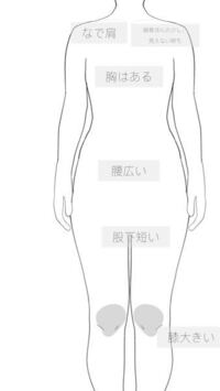 この場合骨格はどれになりますか 真正面からみると分かりにくいですが太もももふ Yahoo 知恵袋