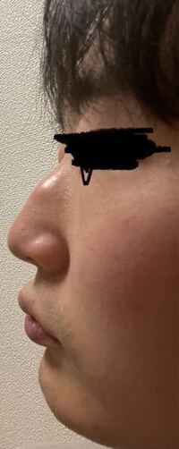 自分の鼻って高いと思いますか 鼻高いねって言われたんですが 皆さん的にはどう Yahoo 知恵袋