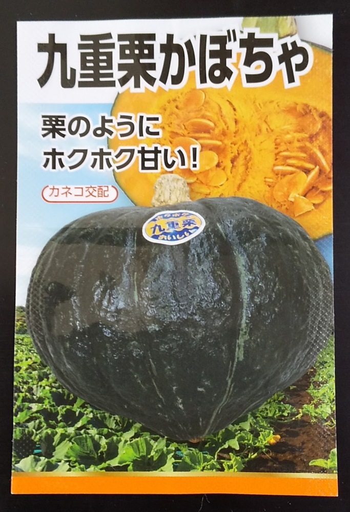 前回の質問でｆ１の種 九重栗カボチャ からは交雑しても同じカボチャができるこ Yahoo 知恵袋