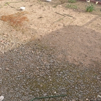 高校生です 近所の子供が家の庭を荒らして行き 駐車場には草がばらま Yahoo 知恵袋