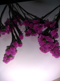 オアシスにアレンジした花はだいたい何日くらいもちますか 毎日お水をやって Yahoo 知恵袋