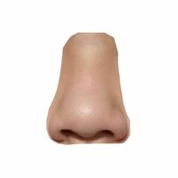 自分のだんご鼻がコンプレックスです。 左右非対称だし、小鼻・鼻先含めて全体的に大きく低いし、鼻筋なんてありません。

整形するしかないのでしょうか？
メイクで変われますか？