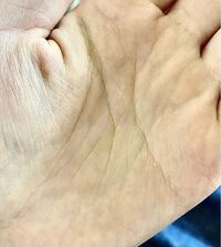 この手相はラッキーmですか Yahoo 知恵袋