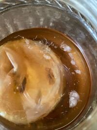 紅茶キノコを作ってるんですが この白い物は何でしょうか カビじゃな Yahoo 知恵袋