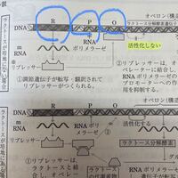 1gは何mgですか あと 300mgは何gですか 教えて下さい Yahoo 知恵袋