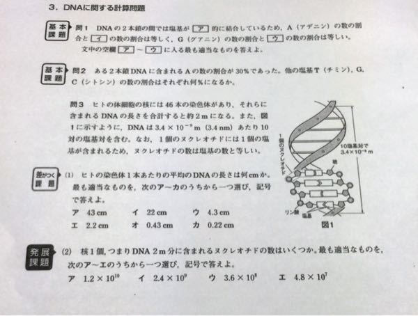 国語の 握手 を読んで600字 800字でルロイ修道士の人柄に着 Yahoo 知恵袋