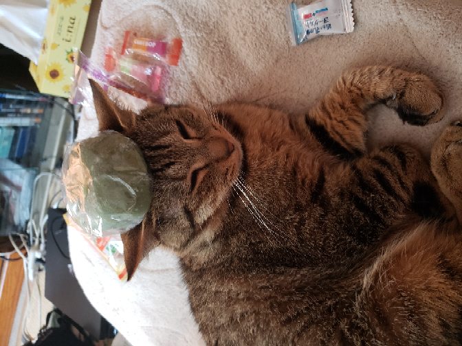 可愛いですか？